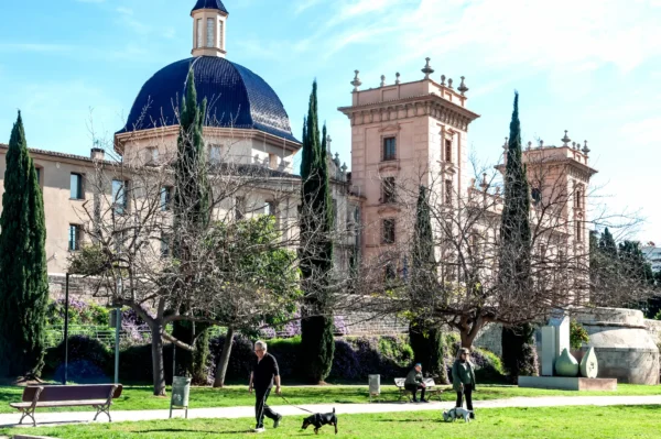Museo de Bellas Artes 1