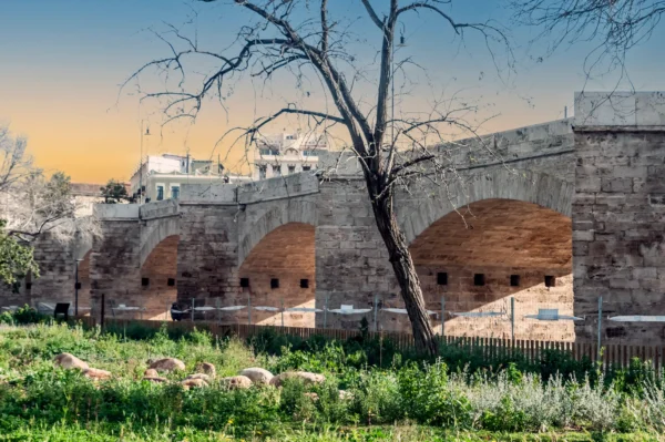 Pont de la Trinitat 1