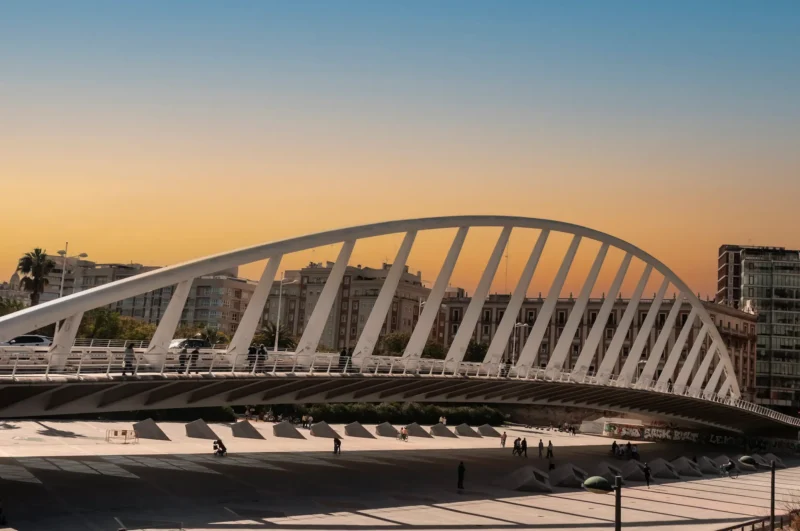 Puente de Calatrava (1)